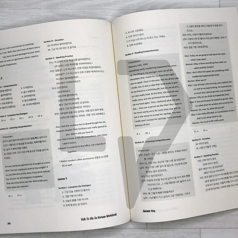 Talk To Me In Korean (TTMIK) Workbook Level 9 - Life Pattern Korea