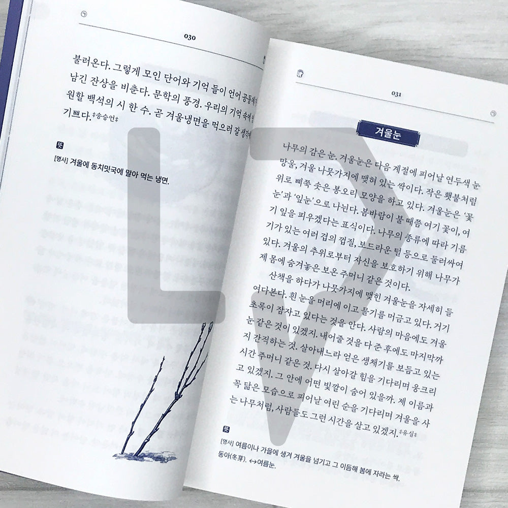 The Winter Dictionary: 148 Words Resembling Our Warmth 겨울어 사전