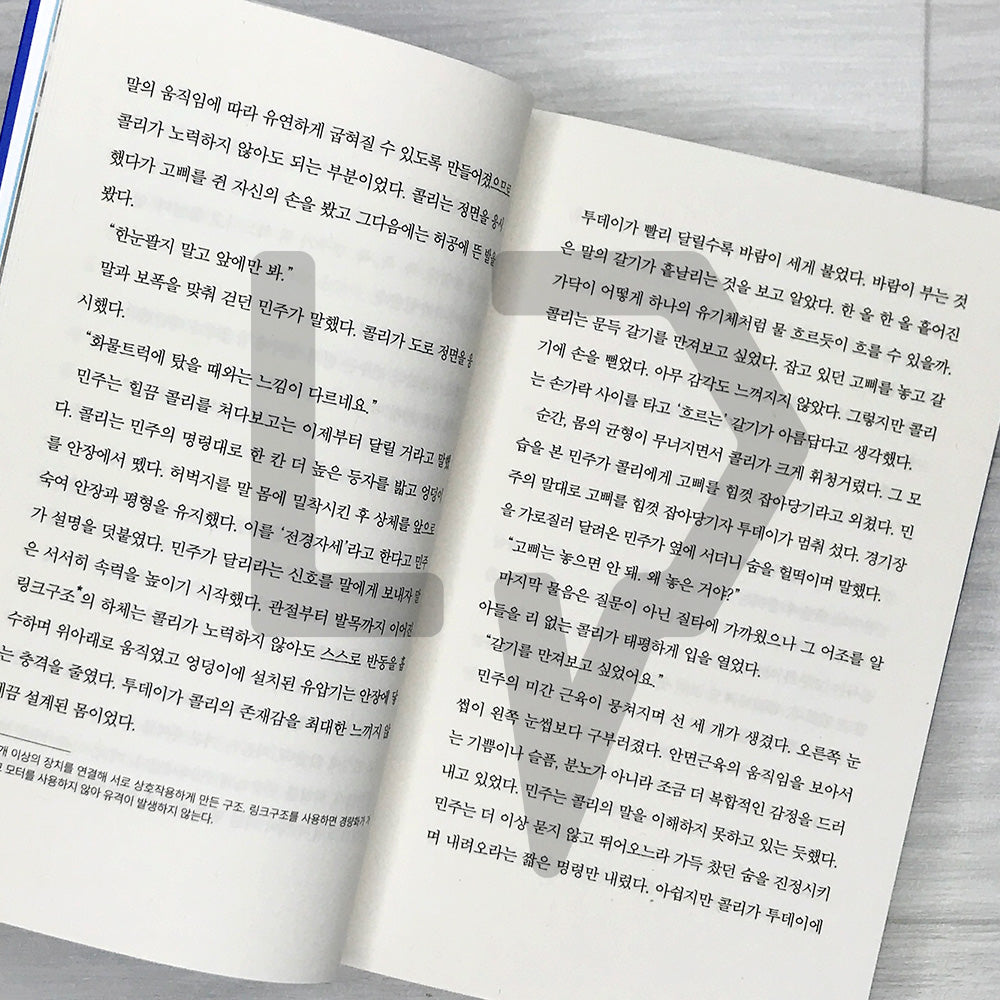 A Thousand Blues by Cheon Seon-ran 천 개의 파랑