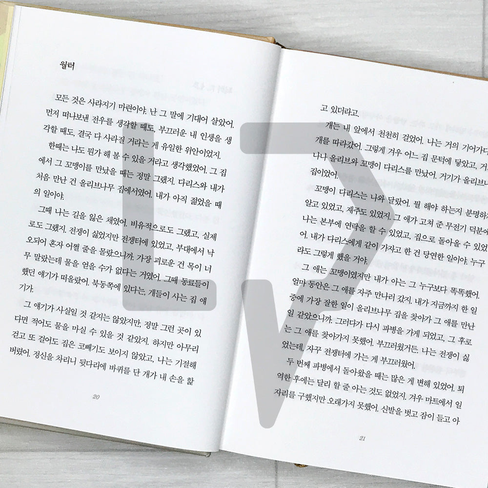 To Nana Olive 나나 올리브에게