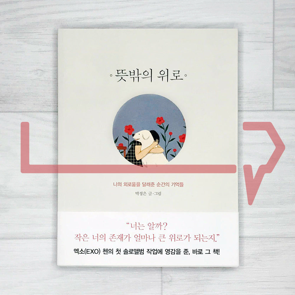 Unexpected Comfort 뜻밖의 위로