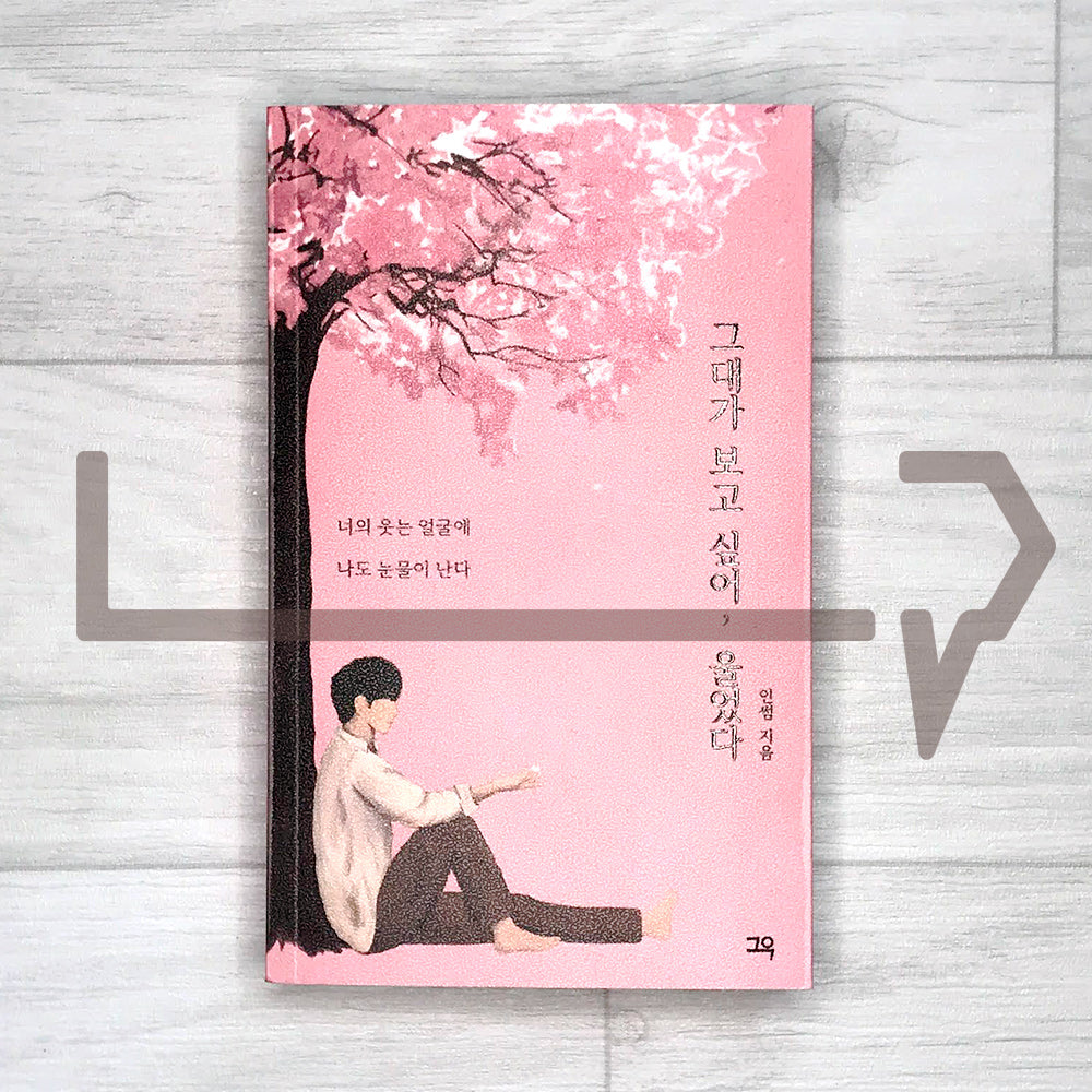 I missed you, I cried 그대가 보고 싶어, 울었다