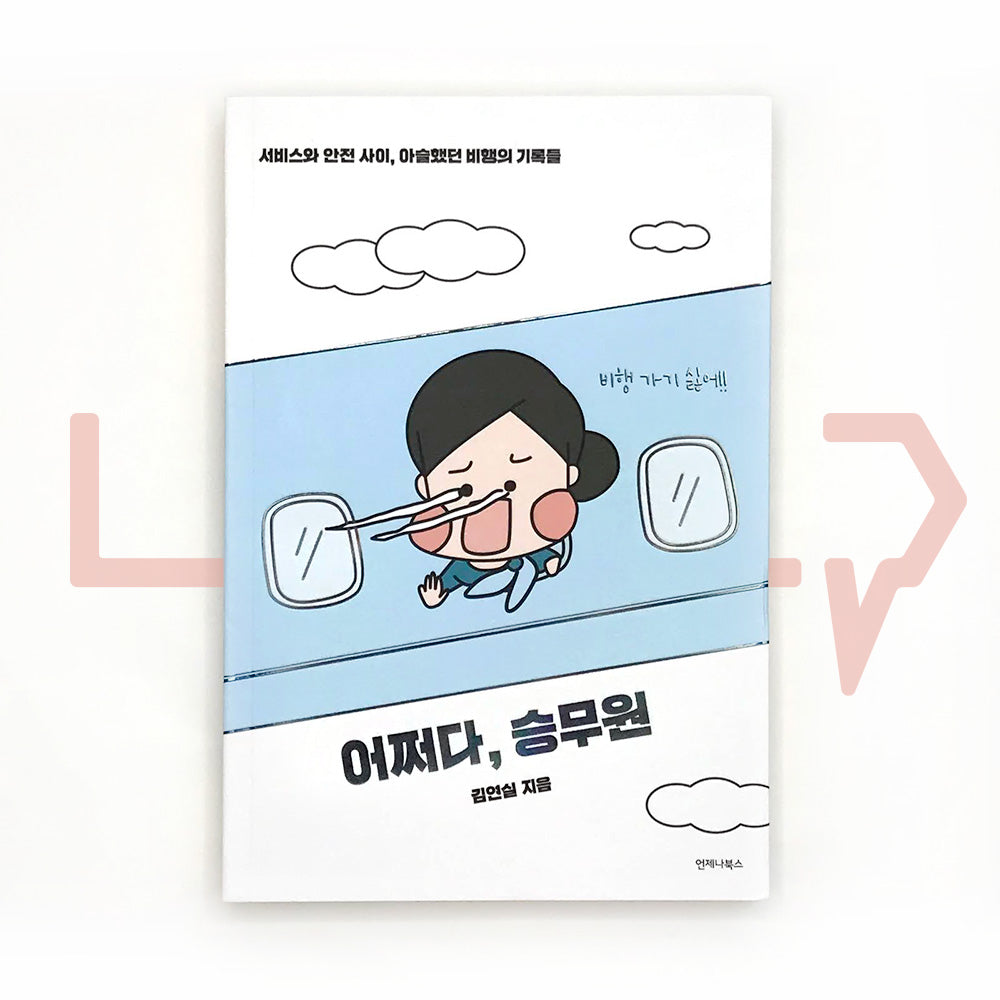 How come, flight attendant 어쩌다, 승무원 - Life Pattern Korea