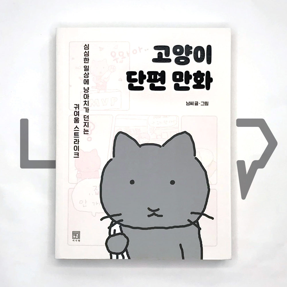 Cat short cartoon 고양이 단편 만화 - Life Pattern Korea