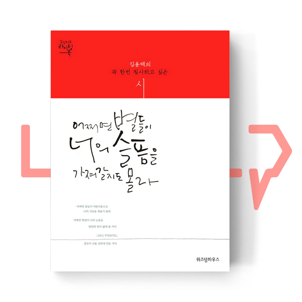 Maybe Stars Will Take Your Sadness Away 어쩌면 별들이 너의 슬픔을 가져갈지도 몰라 - Life Pattern Korea