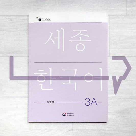 Sejong Korean Workbook 세종한국어 익힘책 3A (2022 Edition)