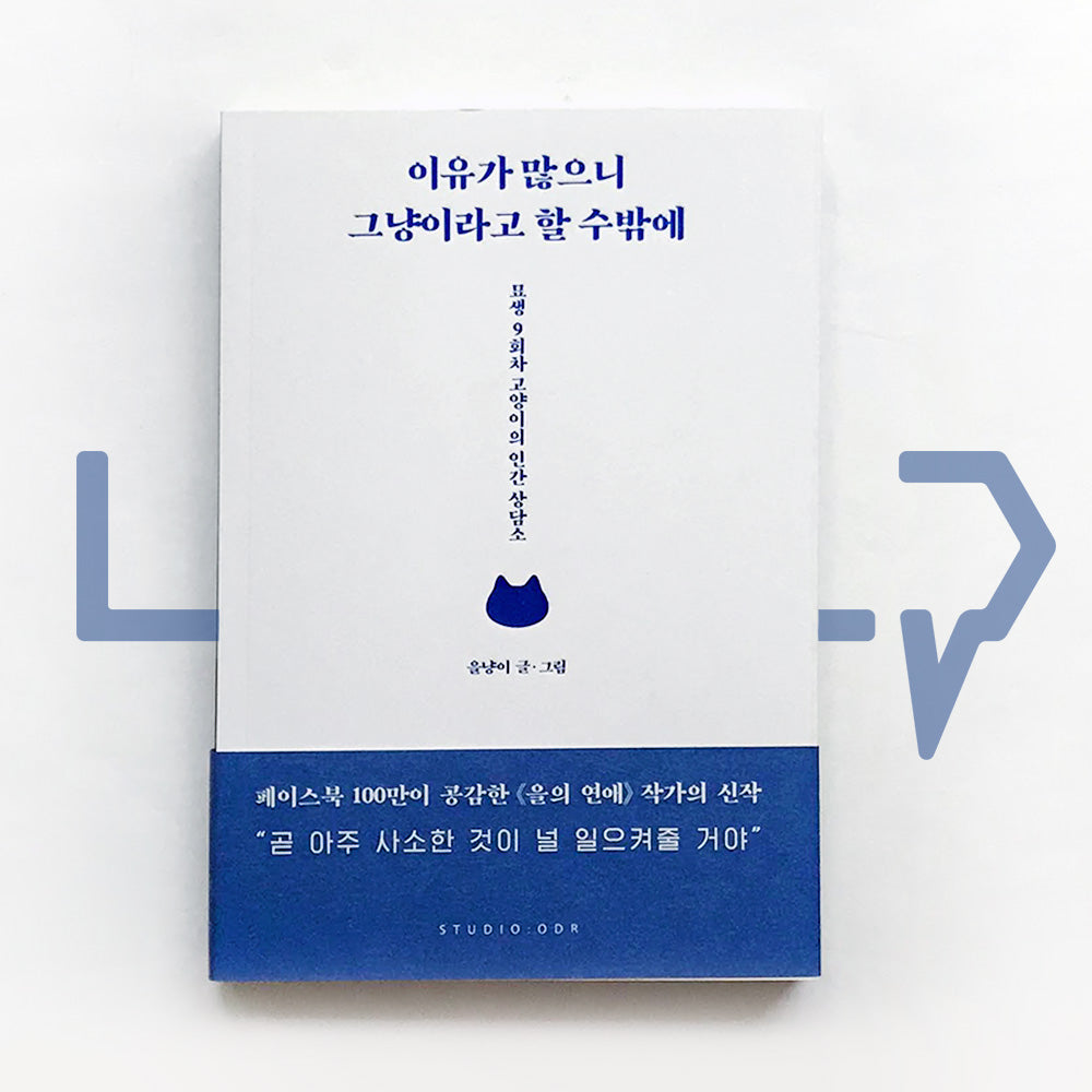 Since there are many reasons, I only say just 이유가 많으니 그냥이라고 할 수밖에 - Life Pattern Korea