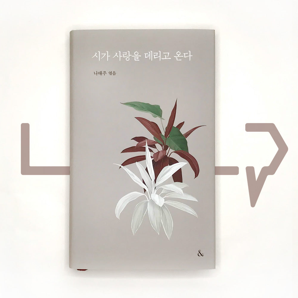 Poetry brings love 시가 사랑을 데리고 온다