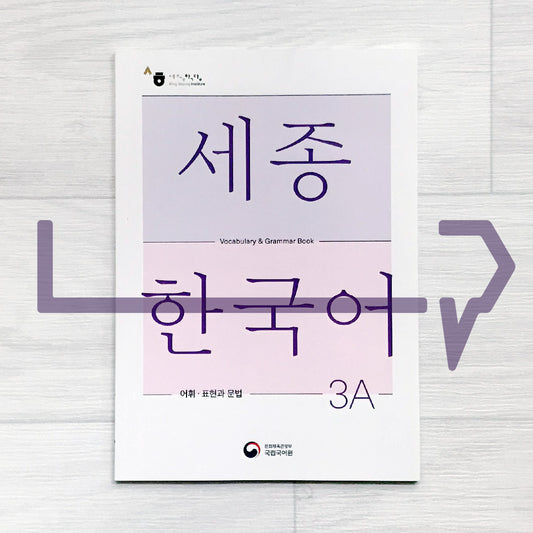 Sejong Korean Vocabulary & Grammar Book 세종한국어 어휘 표현과 문법 3A (2022 Edition)
