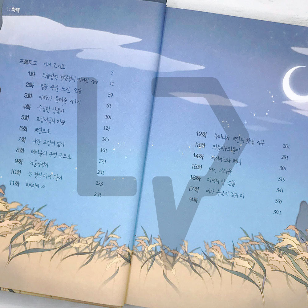 Wait there where the shooting star falls 별똥별이 떨어지는 그곳에서 기다려 Season 1-1 - Life Pattern Korea