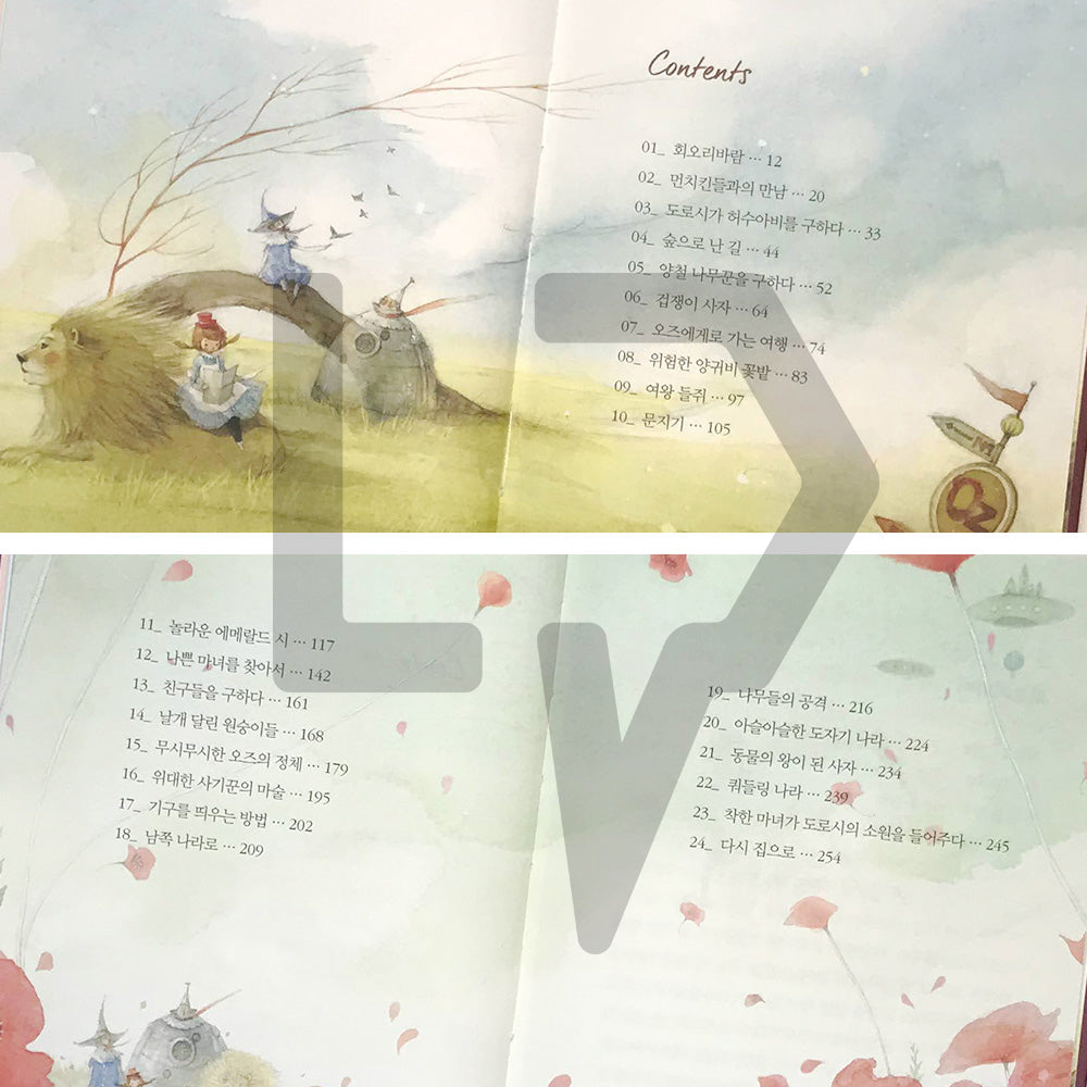 The Wonderful Wizard of Oz 오즈의 마법사 - Life Pattern Korea