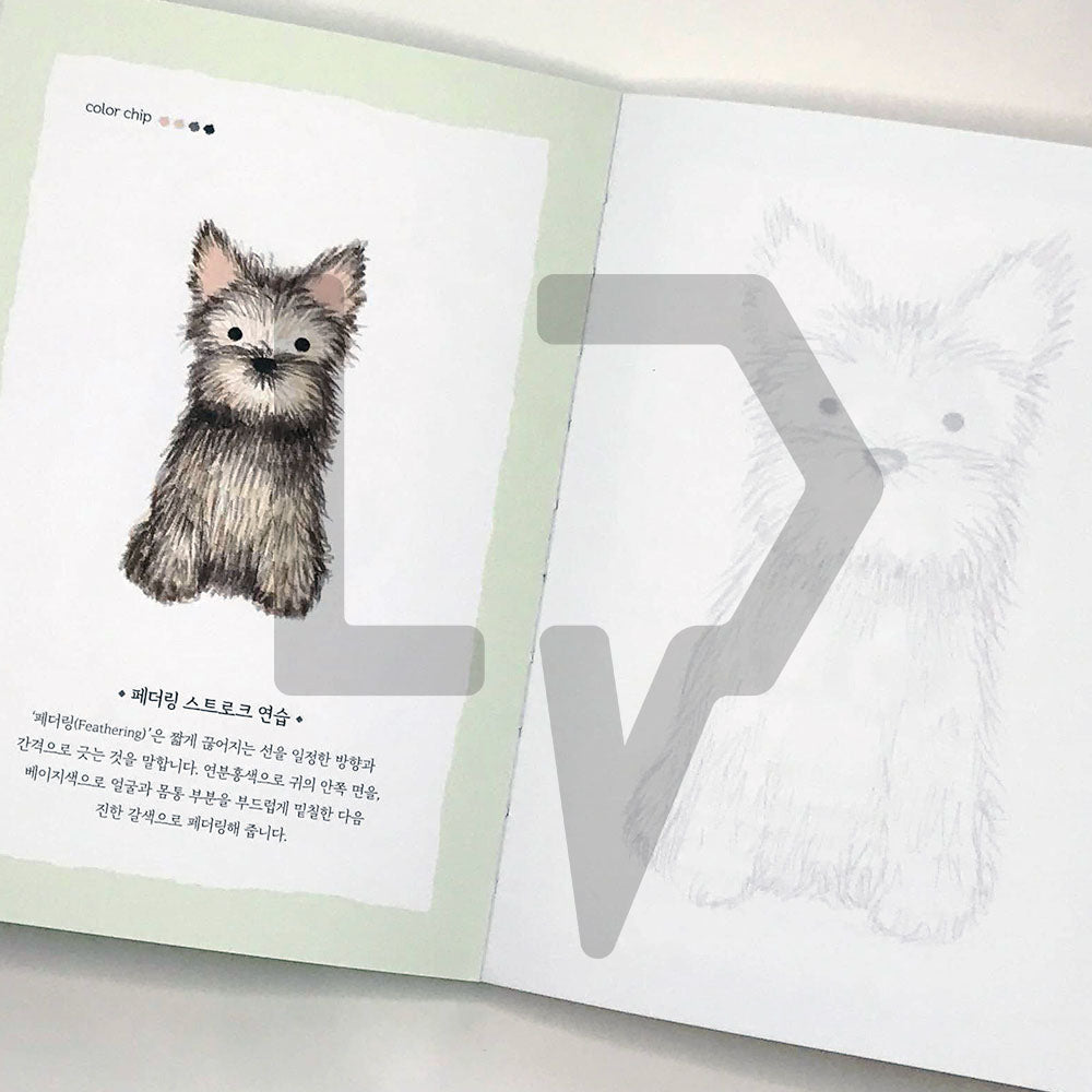 5-Minute Coloring Book Dogs 5분 컬러링북 강아지 - Life Pattern Korea