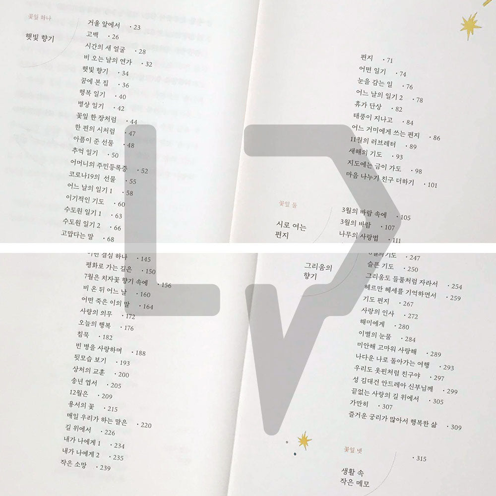 Like a petal 꽃잎 한 장처럼 - Life Pattern Korea