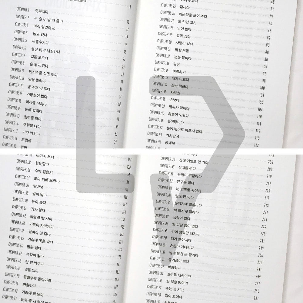 Everyday Korean Idiomatic Expressions 한국에서 자주 쓰이는 관용 표현 100가지