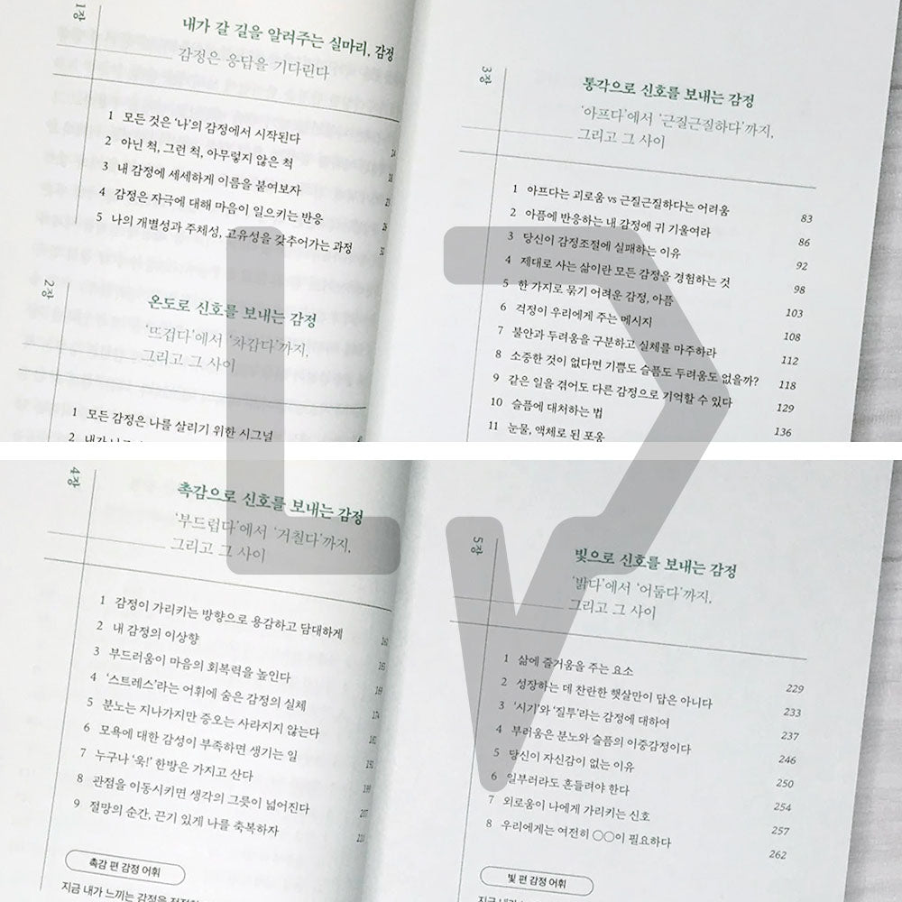 Emotion Vocabulary 감정 어휘 - Life Pattern Korea