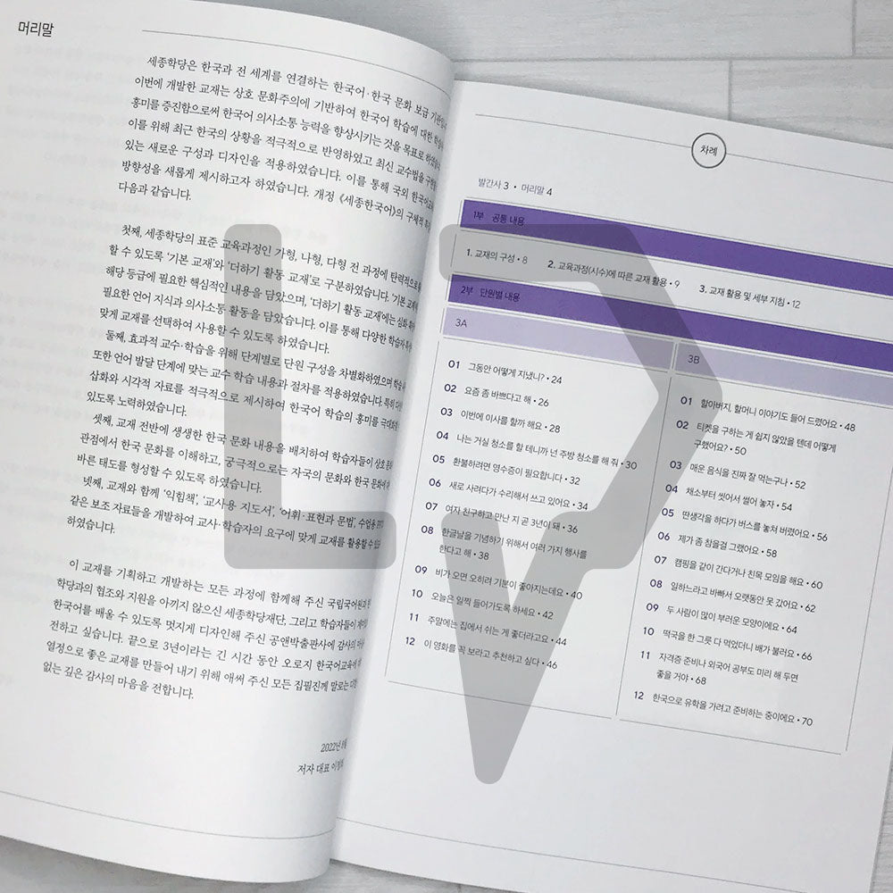 Sejong Korean Teacher's Guide 세종한국어 교사용 지도서 Vol. 3