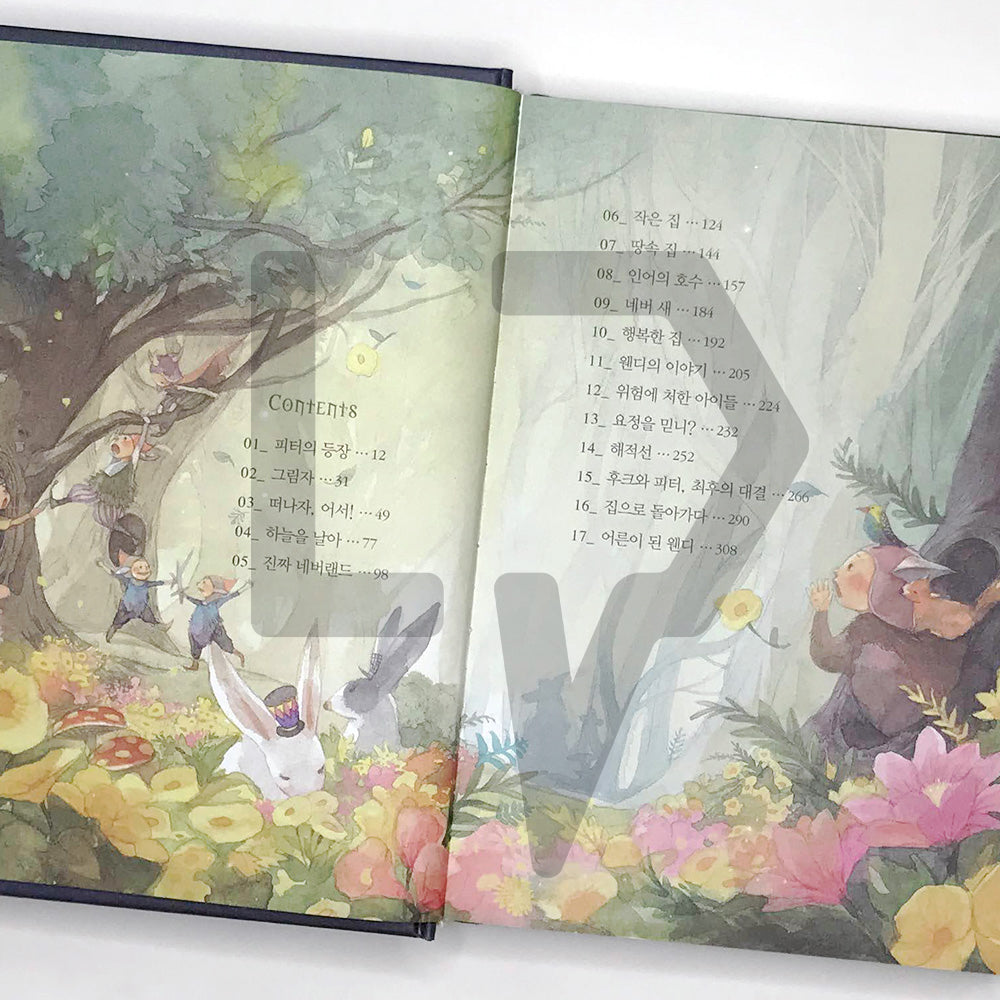Peter Pan 피터 팬 - Life Pattern Korea