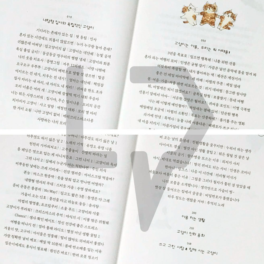To tell you the charm of cats 고양이의 매력으로 말할 것 같으면 - Life Pattern Korea