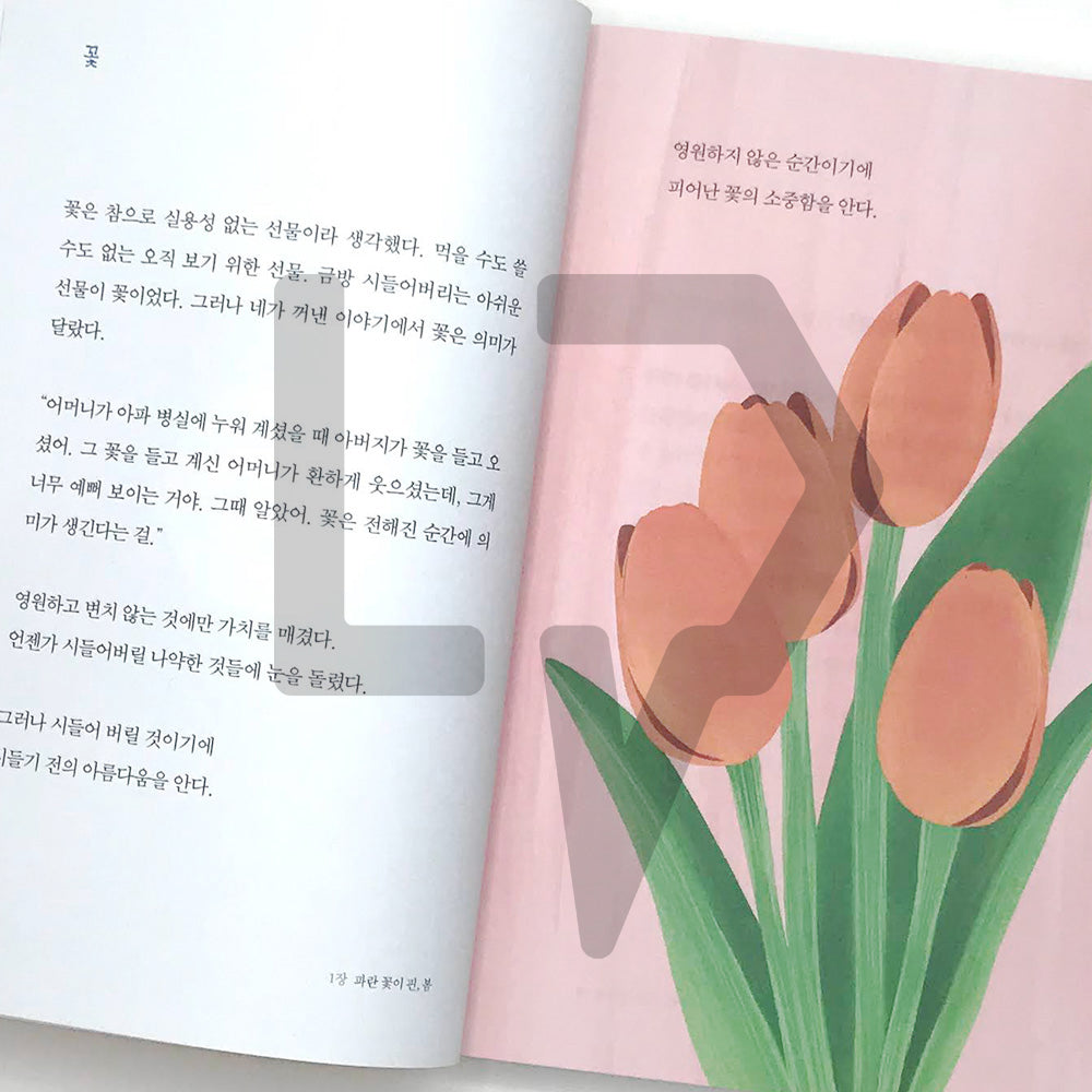You have lived a fine life since you've made an effort also today 괜찮게 살아온 거야 오늘도 애쓴 너라서 - Life Pattern Korea