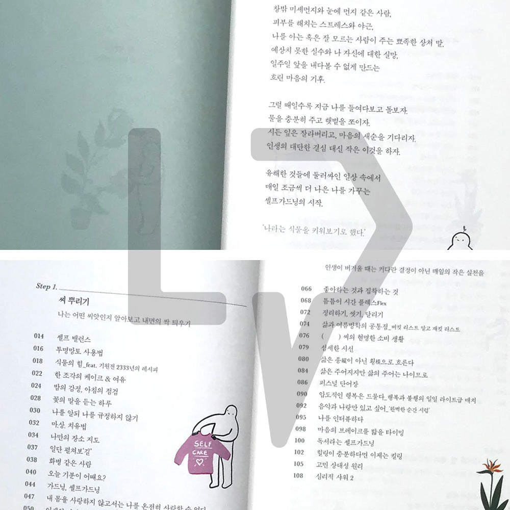 I decided to grow a plant called me 나라는 식물을 키워보기로 했다 - Life Pattern Korea