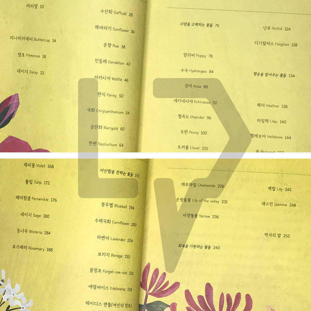 Floriography 꽃말의 탄생 - Life Pattern Korea