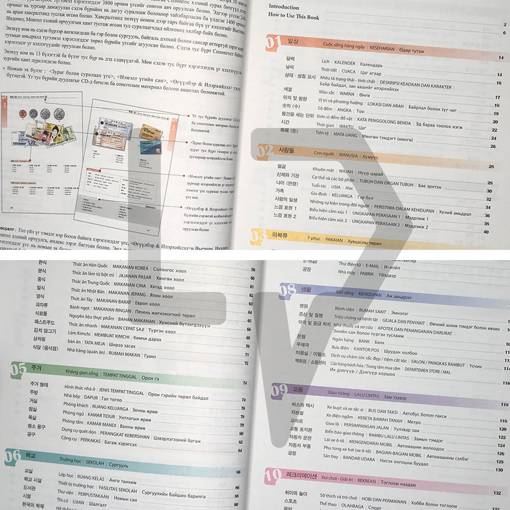 Korean Picture Dictionary Vietnamese, Indonesian, Mongolian - Life Pattern Korea