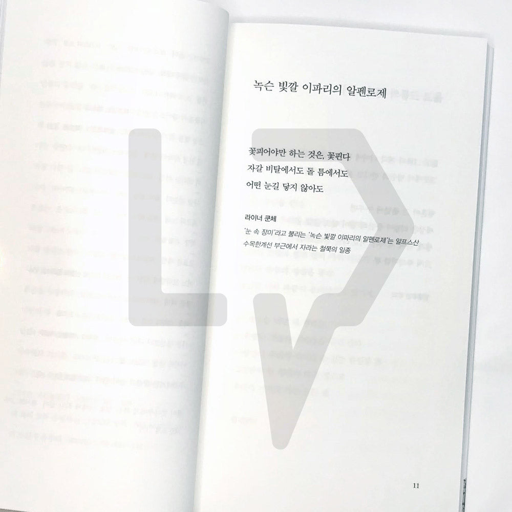 The poetry of mindfulness 마음챙김의 시 - Life Pattern Korea