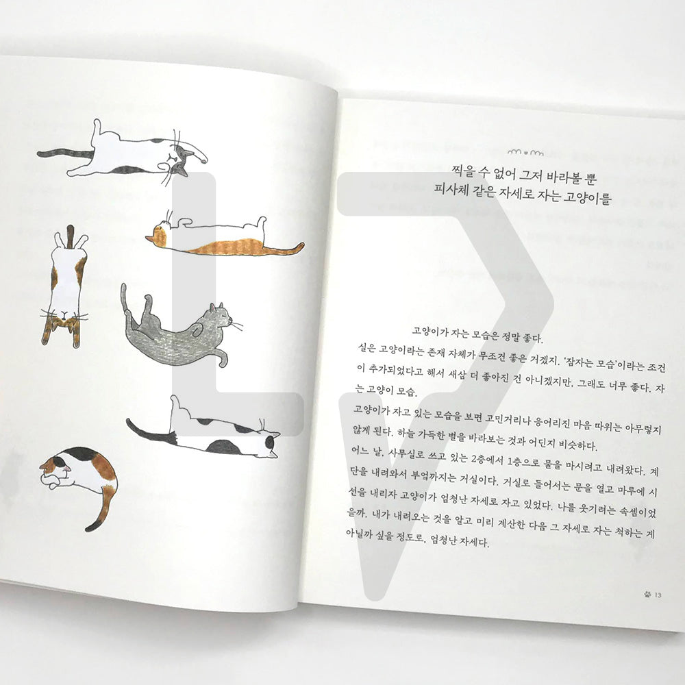 I want to go home where my cats await 고양이가 기다리는 집으로 가고 싶어 - Life Pattern Korea