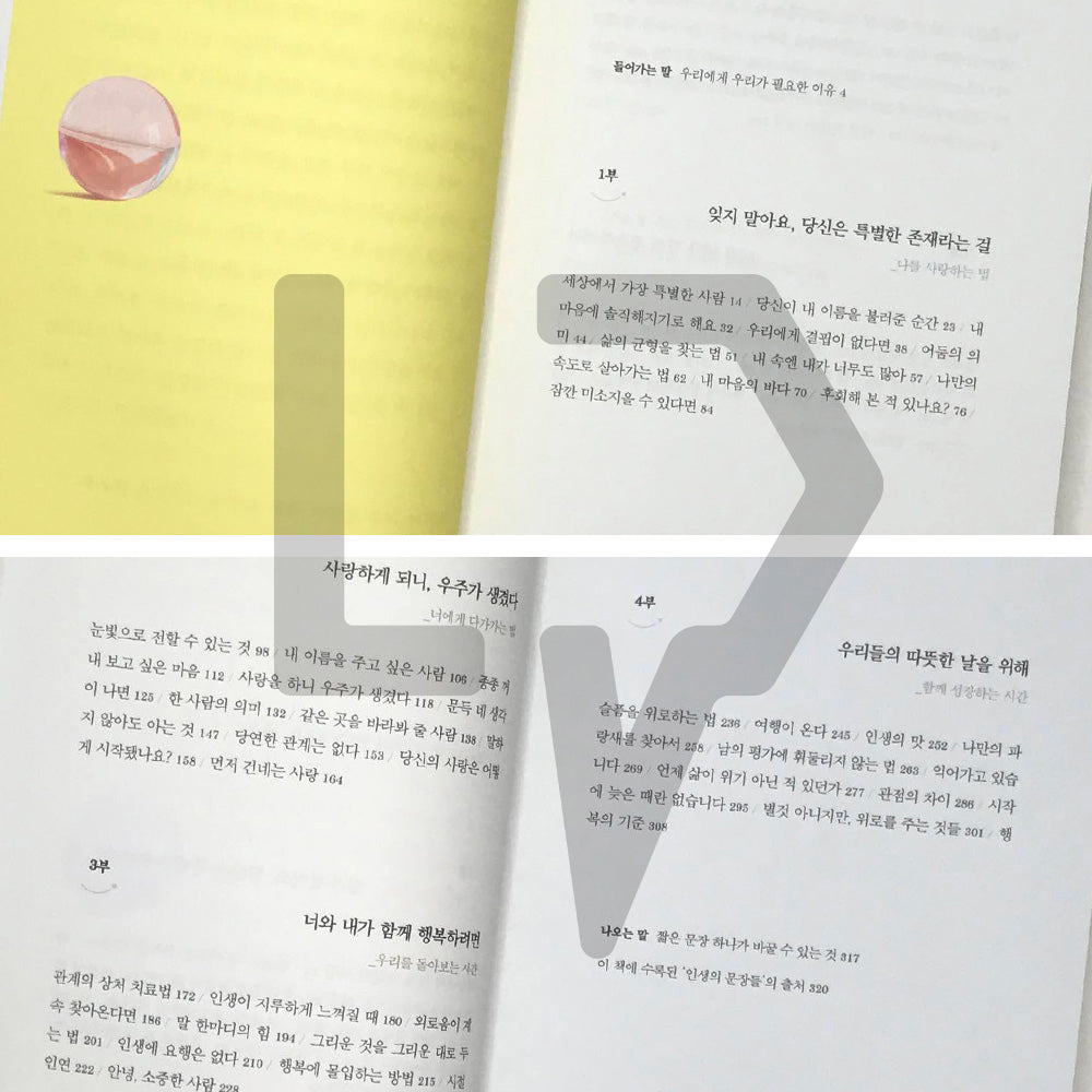 The Moment You Called My Name 당신이 내 이름을 불러준 순간 - Life Pattern Korea