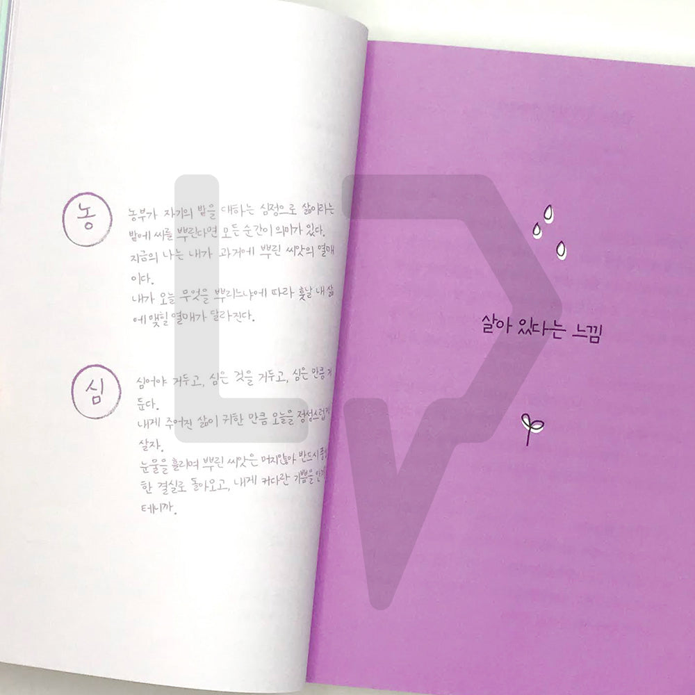 Hungry after crying enough 실컷 울고나니 배고파졌어요 2021 Revised - Life Pattern Korea