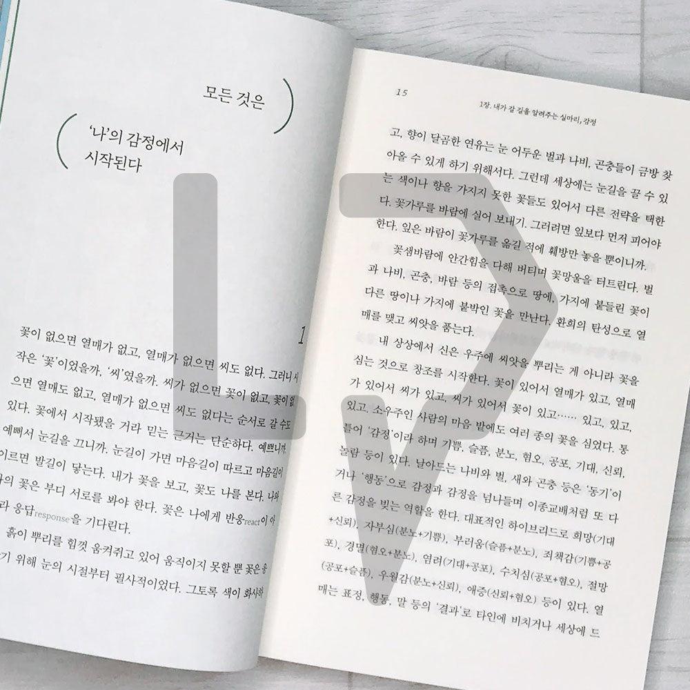 Emotion Vocabulary 감정 어휘 - Life Pattern Korea