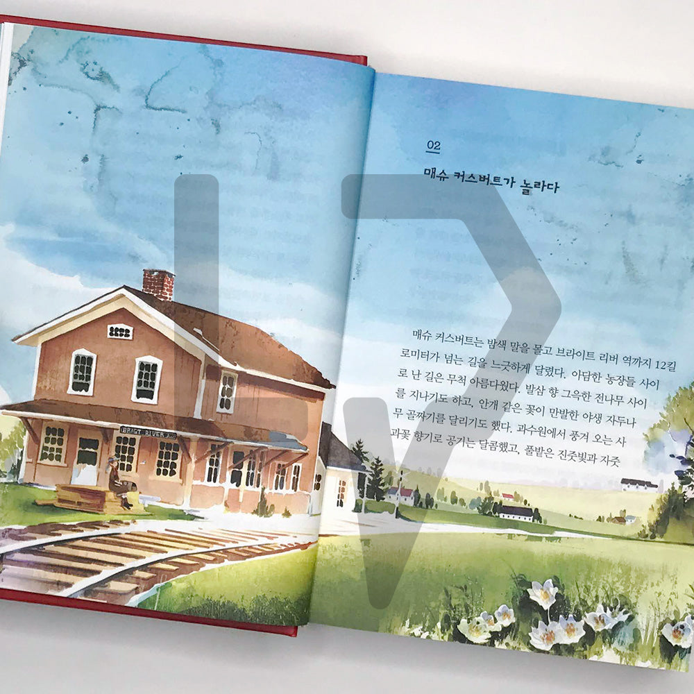 Anne of Green Gables 빨간 머리 앤 - Life Pattern Korea