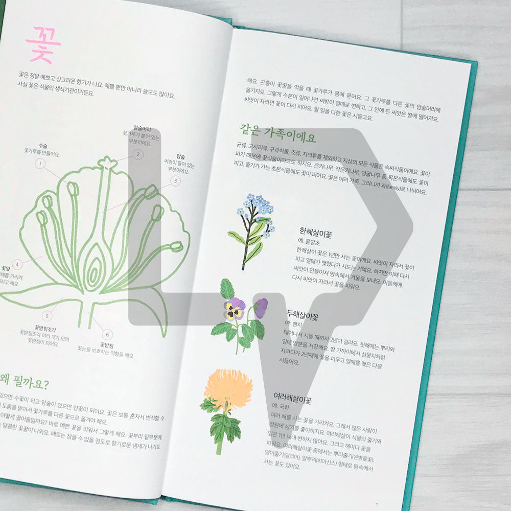 Seasonal Flowers (Fleurs de saison) 꽃의 계절