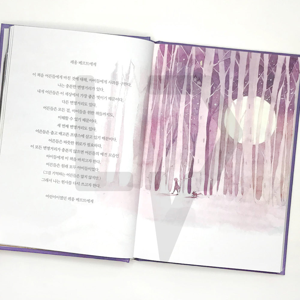 The Little Prince 어린 왕자 - Life Pattern Korea