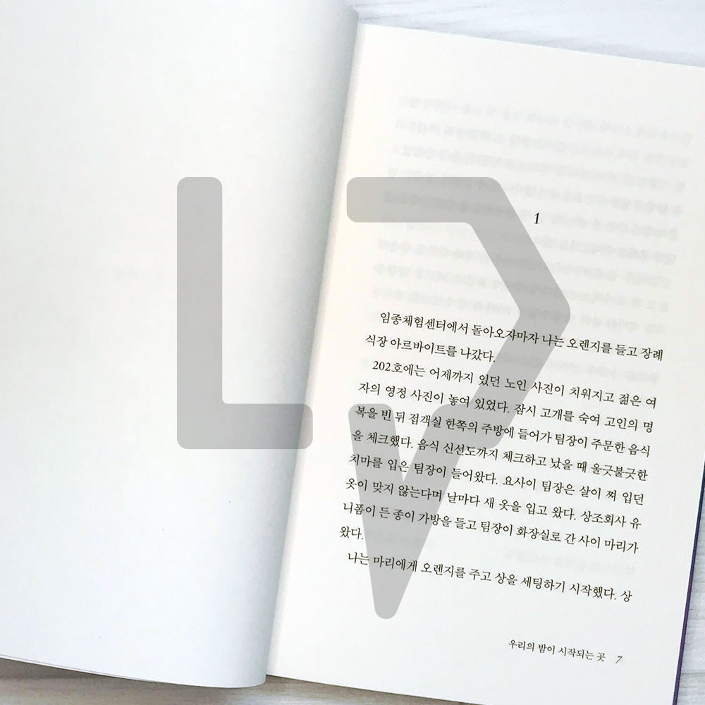 Where our night begins 우리의 밤이 시작되는 곳 - Life Pattern Korea