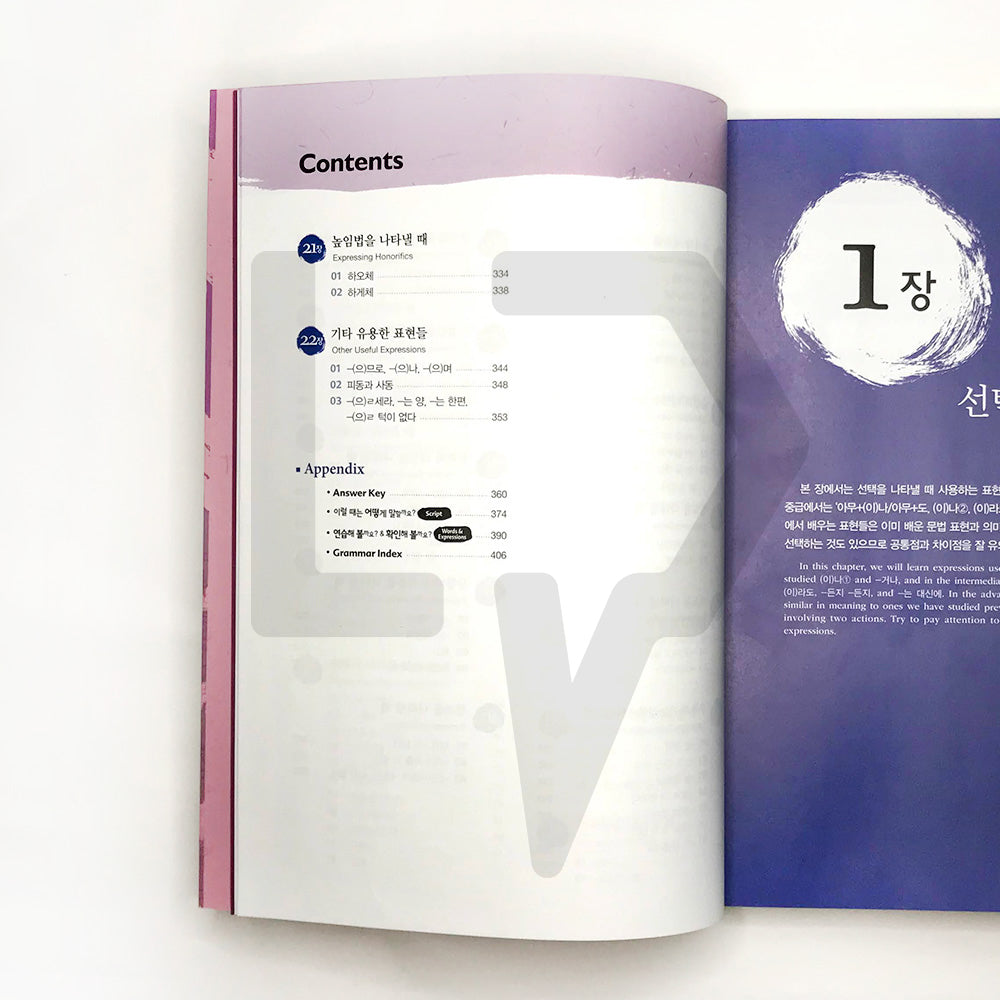 Korean Grammar in Use Advanced (English) - Life Pattern Korea