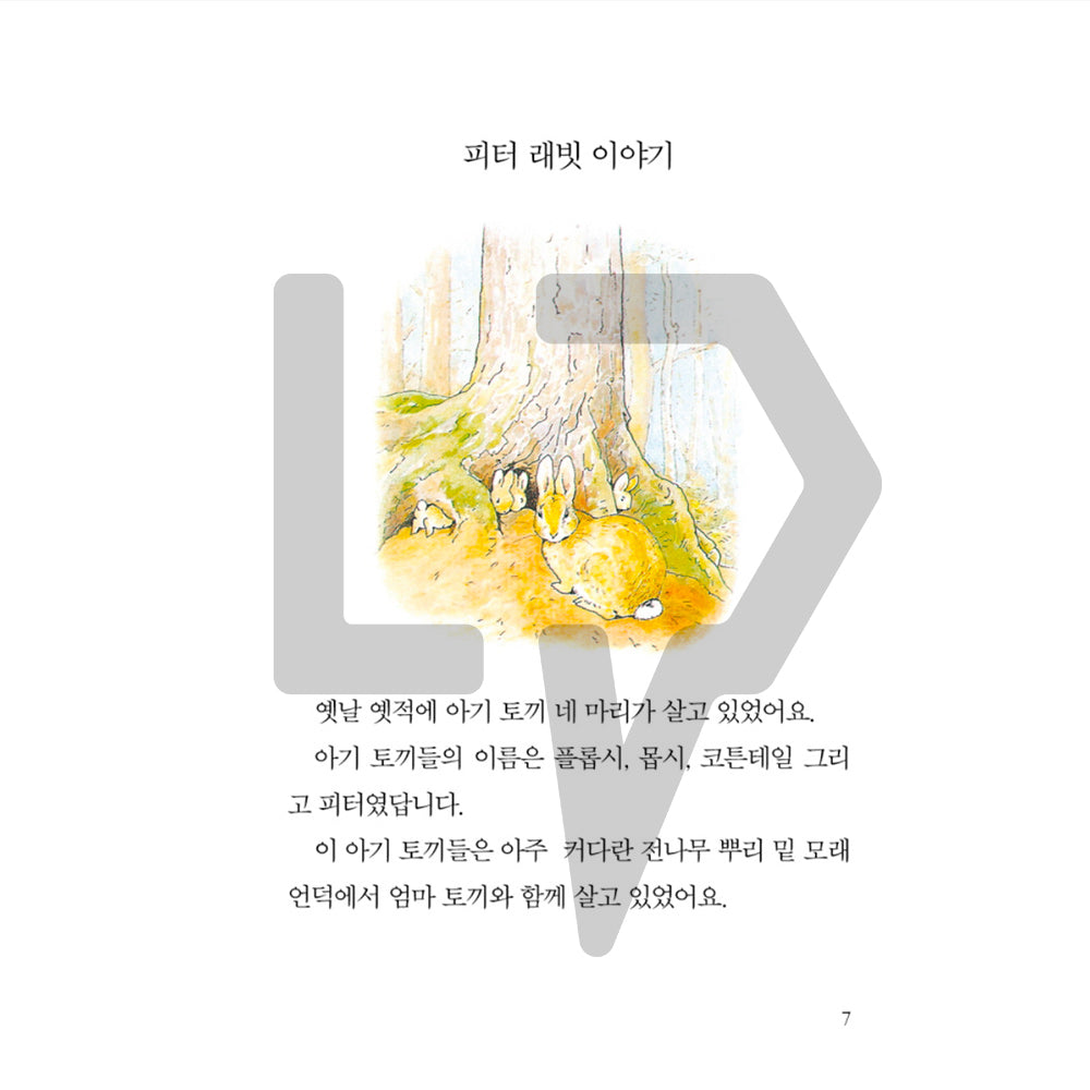 The Tale of Peter Rabbit by Beatrix Potter 피터 래빗 이야기 Vol. 1 - Life Pattern Korea