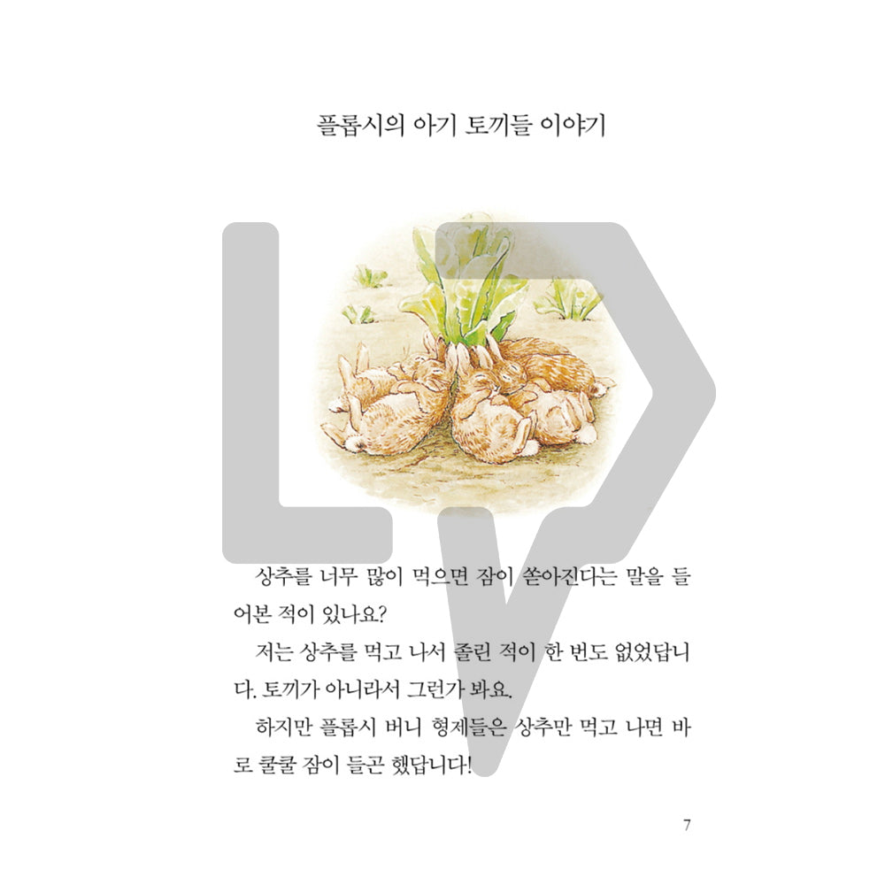 The Tale of Peter Rabbit by Beatrix Potter 피터 래빗 이야기 Vol. 2 - Life Pattern Korea