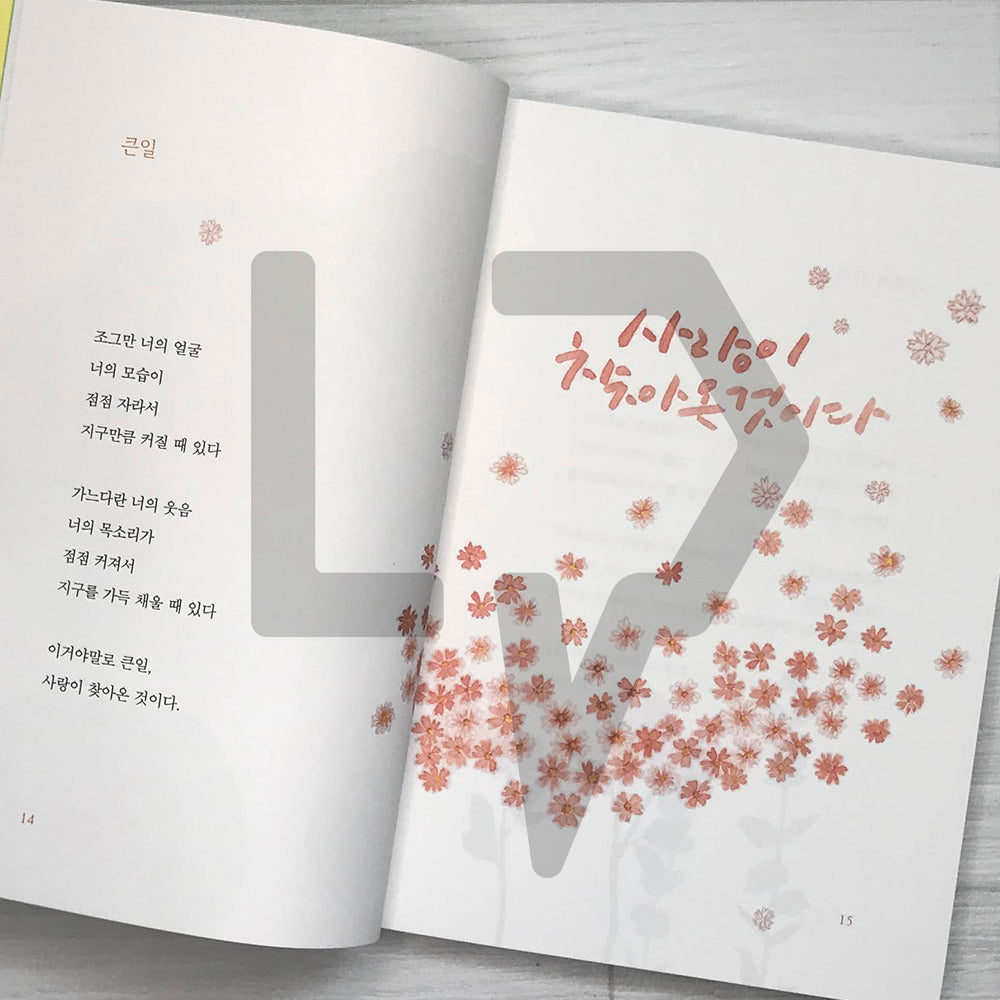 I want to give you the prettiest thought 가장 예쁜 생각을 너에게 주고 싶다 - Life Pattern Korea