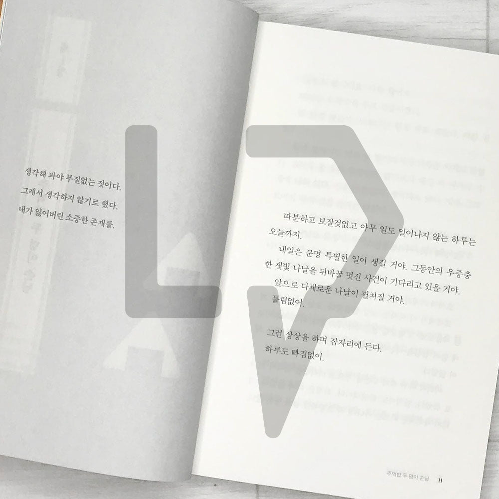 This is Custard, sells special lunch boxes 여기는 커스터드, 특별한 도시락을 팝니다 - Life Pattern Korea