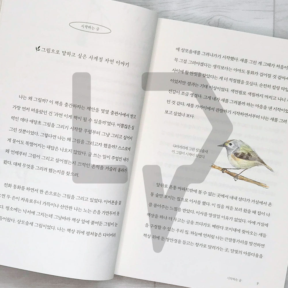 Four Seasons Memory Book 사계절 기억책 - Life Pattern Korea