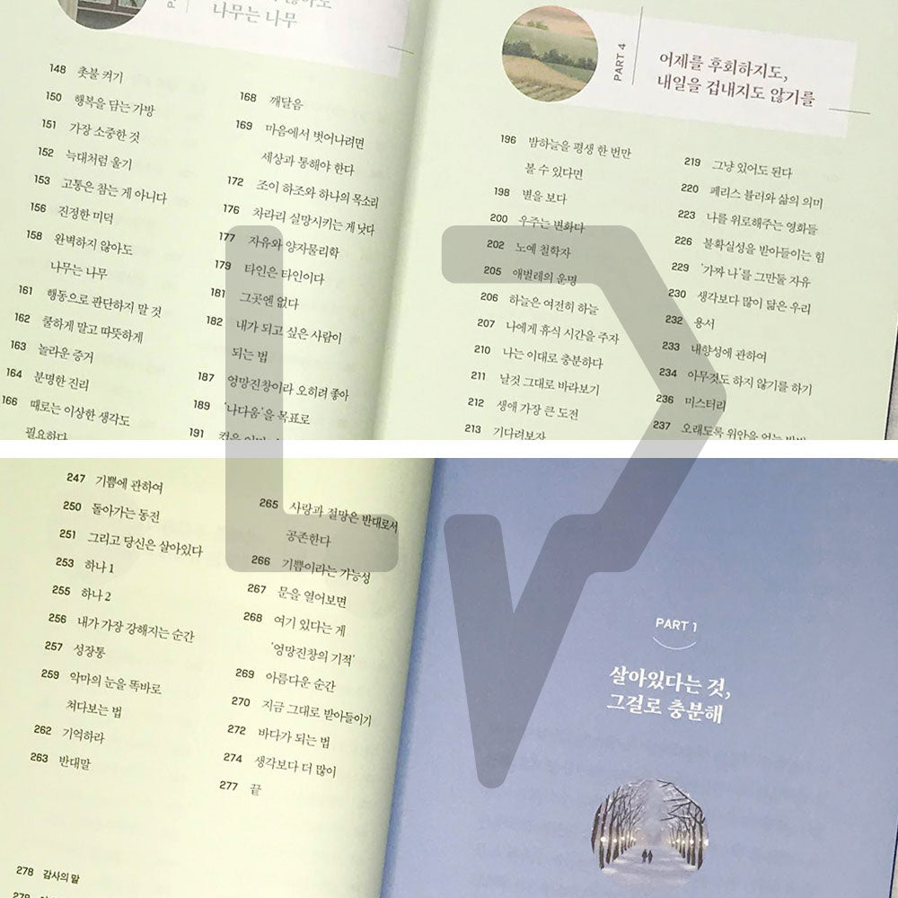The Comfort Book 위로의 책