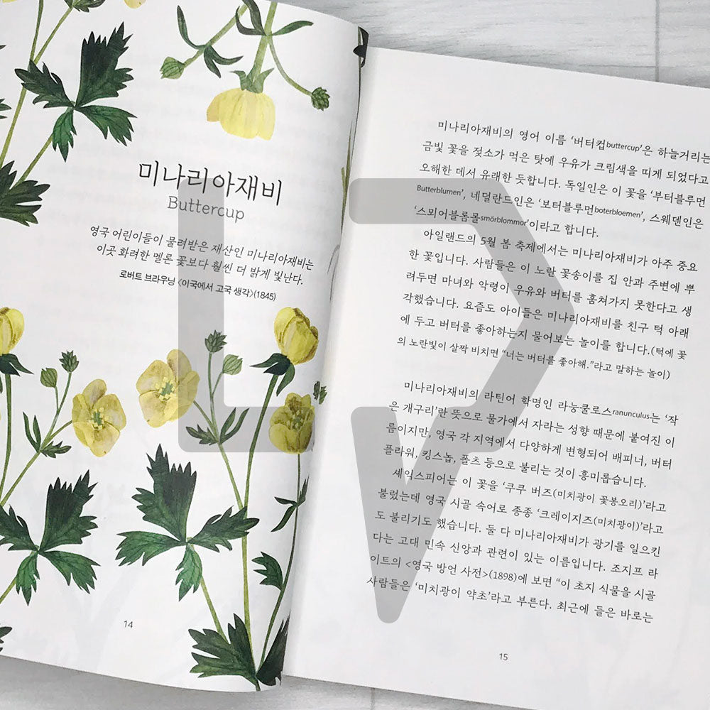 Floriography 꽃말의 탄생 - Life Pattern Korea