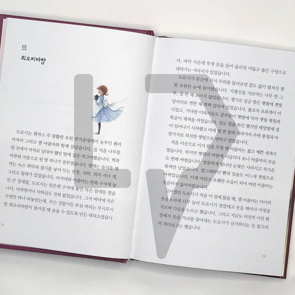 The Wonderful Wizard of Oz 오즈의 마법사 - Life Pattern Korea