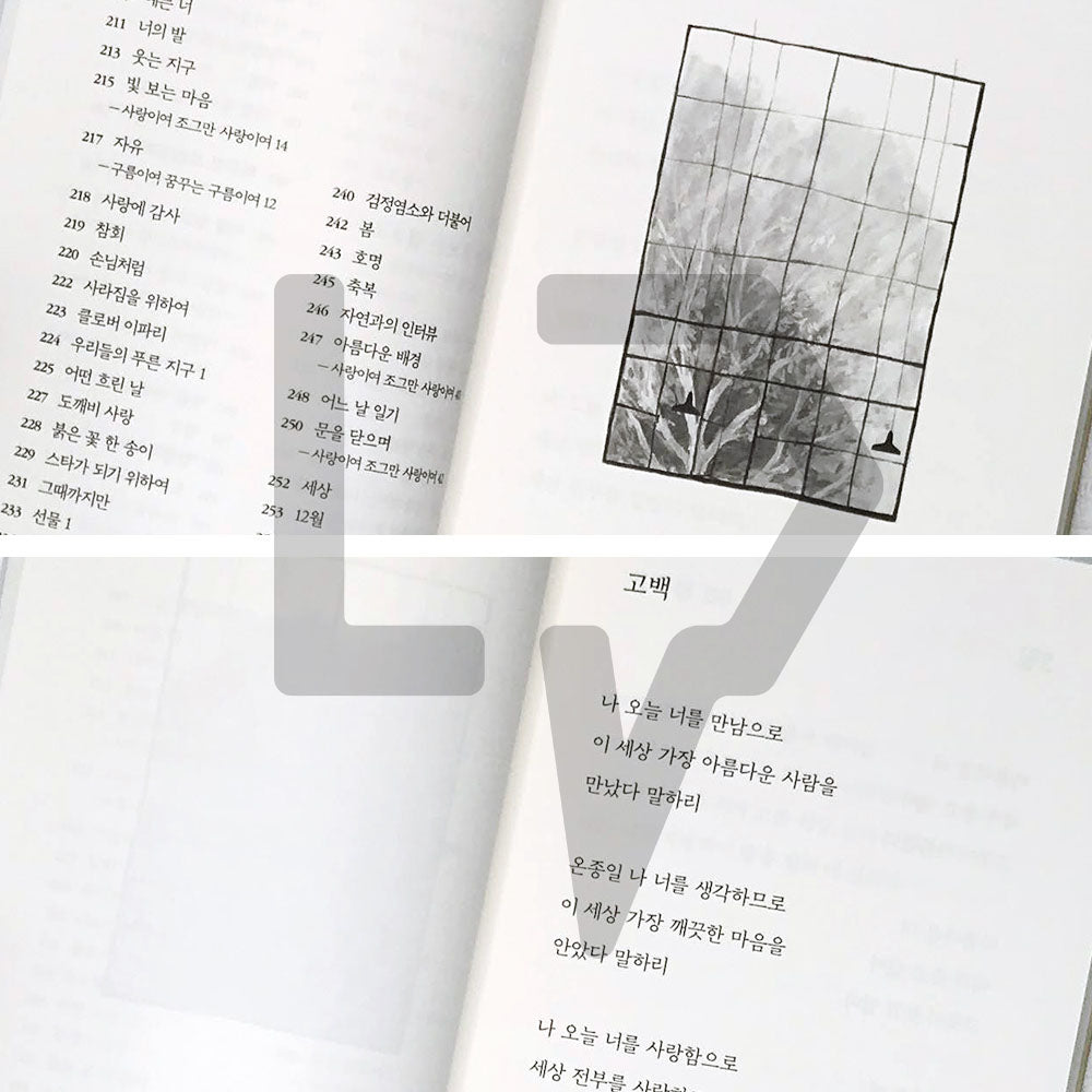 To you, I am 너에게 나는