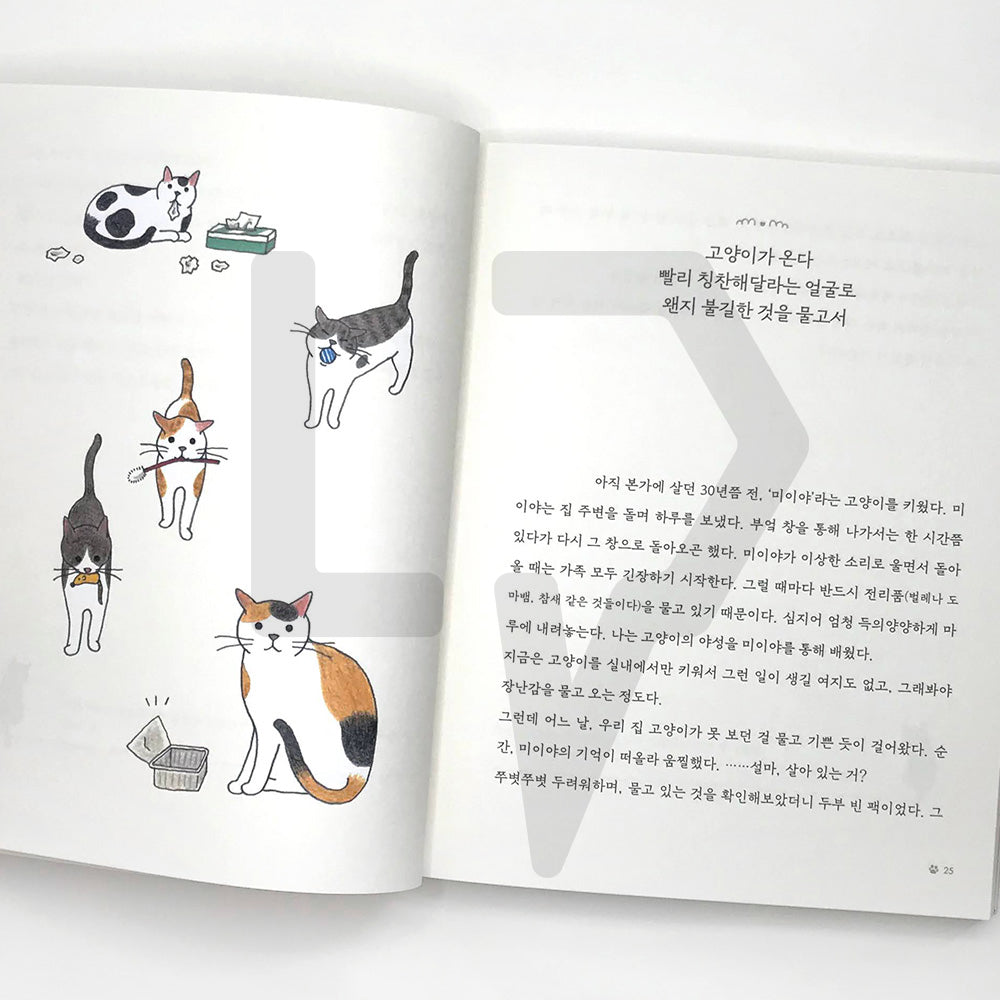 I want to go home where my cats await 고양이가 기다리는 집으로 가고 싶어 - Life Pattern Korea