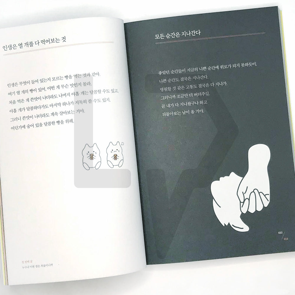 Since there are many reasons, I only say just 이유가 많으니 그냥이라고 할 수밖에 - Life Pattern Korea