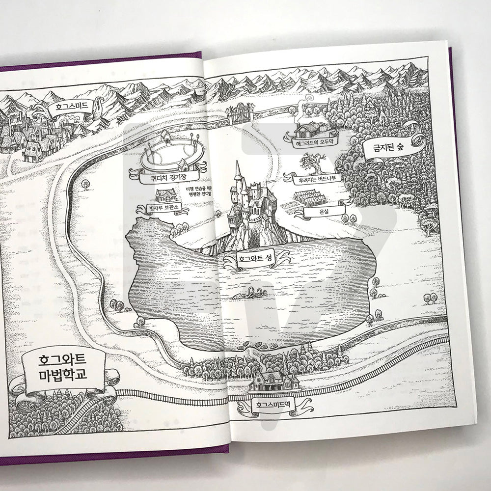 Harry Potter and the Sorcerer's Stone (20th Anniversary) 해리 포터와 마법사의 돌 (20주년 개정판)