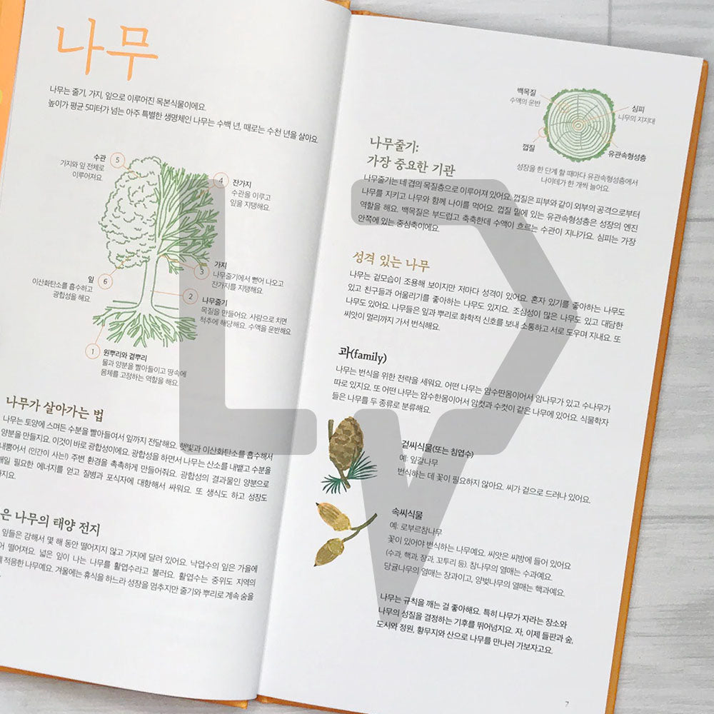 The Place of Trees (Arbres d'ici et d'ailleurs) 나무의 자리