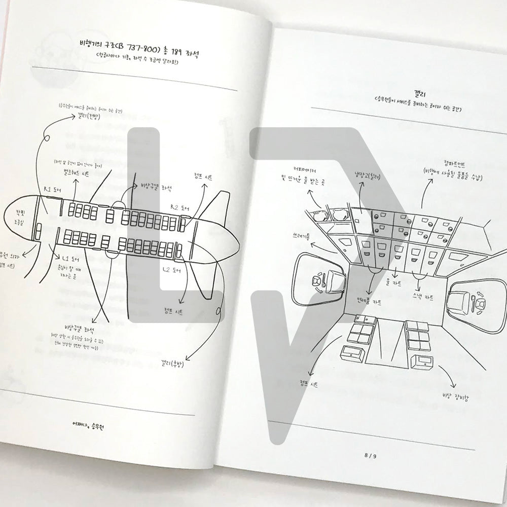 How come, flight attendant 어쩌다, 승무원 - Life Pattern Korea